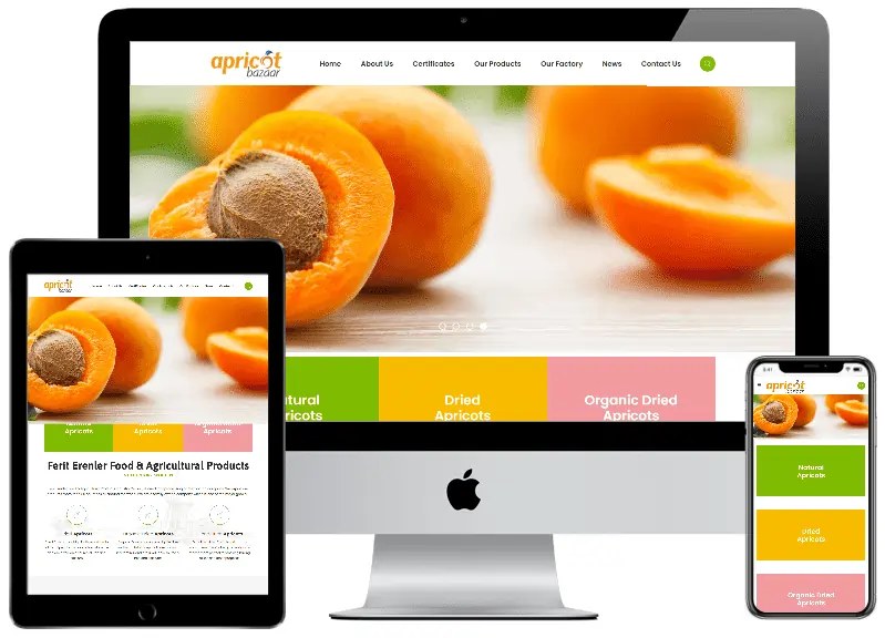 Apricot Bazaar Kurumsal Web Tasarım